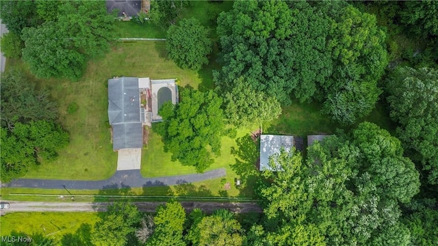 2196 Phalanx Mills Herner Rd, Southington, OH 44470 - photo 47