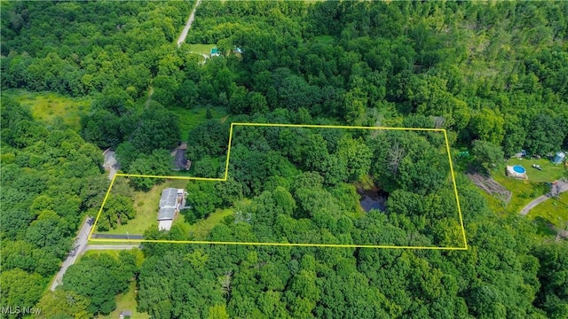 2196 Phalanx Mills Herner Rd, Southington, OH 44470 - photo 48