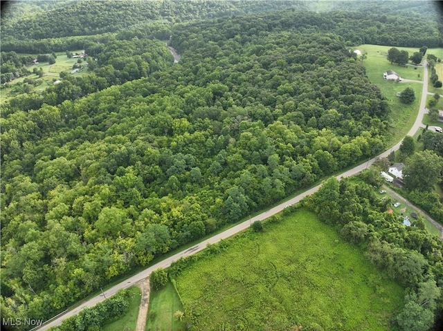 Shinkles Ridge Rd, Georgetown, OH 45121 - photo 1