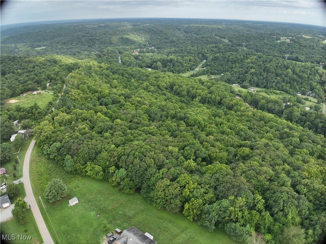 Shinkles Ridge Rd, Georgetown, OH 45121 - photo 4
