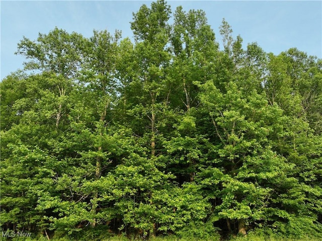Shinkles Ridge Rd, Georgetown, OH 45121 - photo 15