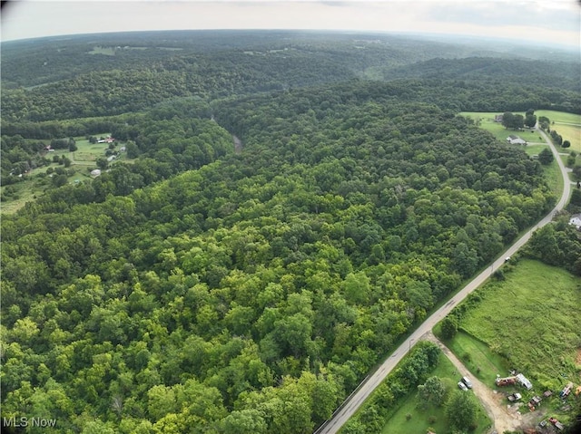 Shinkles Ridge Rd, Georgetown, OH 45121 - photo 11