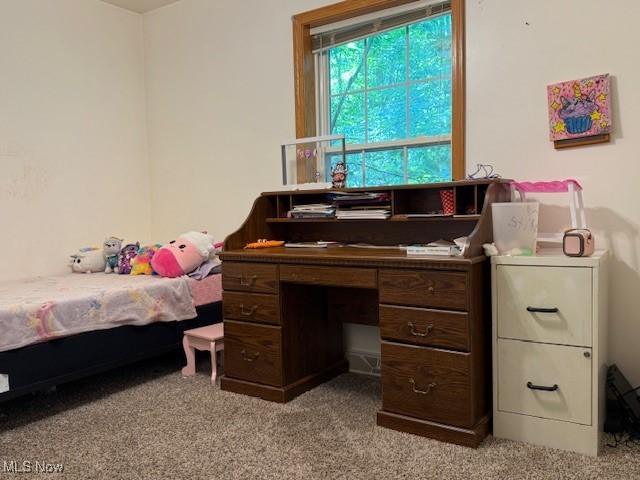 3417 N Myers Rd, Geneva, OH 44041 - photo 10
