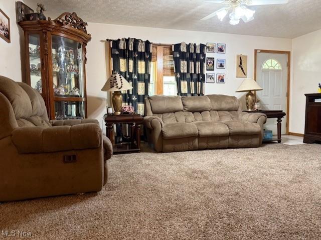 3417 N Myers Rd, Geneva, OH 44041 - photo 4