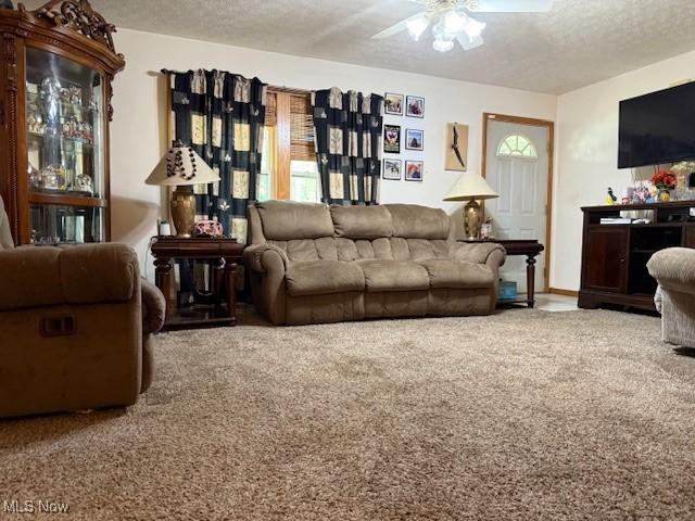 3417 N Myers Rd, Geneva, OH 44041 - photo 5