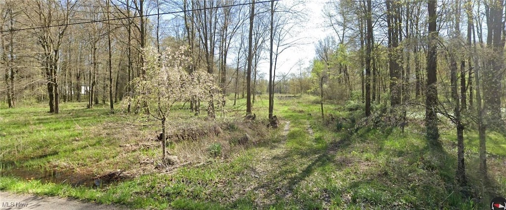 9080 N Park Ave Extension, North Bloomfield, OH 44450 - photo 1