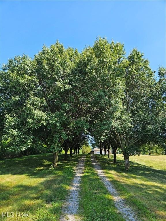 12005 Garfield Rd, Florence, OH 44814 - photo 15