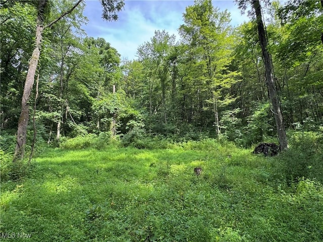 Township Rd Unit 437, Coshocton, OH 43821 - photo 13