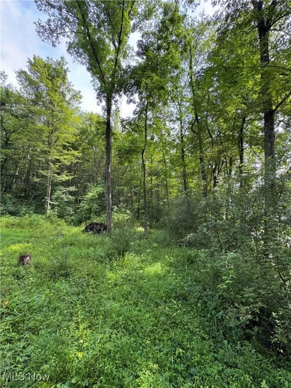 Township Rd Unit 437, Coshocton, OH 43821 - photo 20
