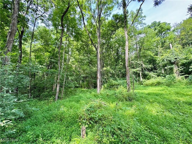 Township Rd Unit 437, Coshocton, OH 43821 - photo 14