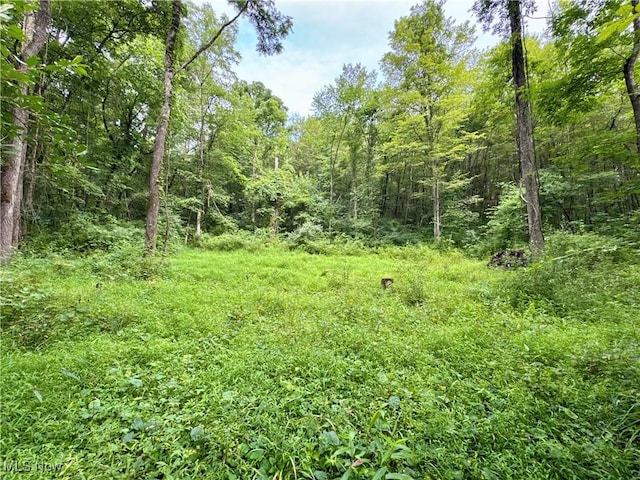 Township Rd Unit 437, Coshocton, OH 43821 - photo 5