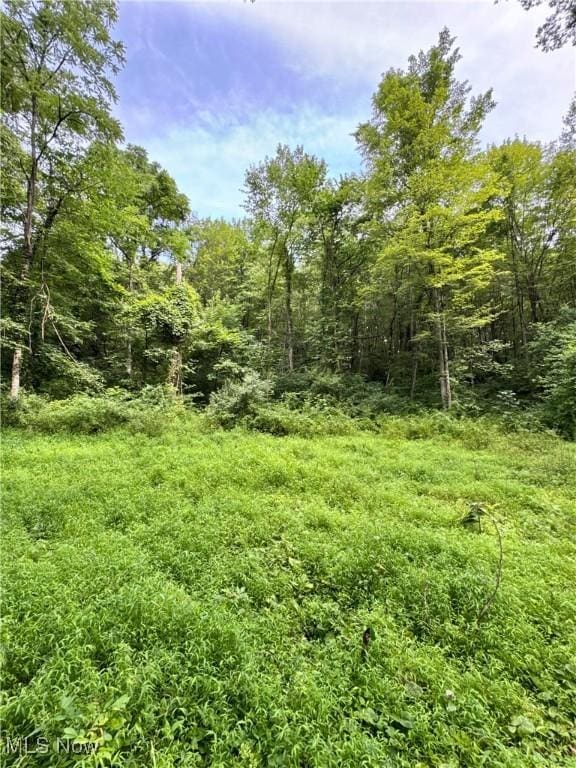Township Rd Unit 437, Coshocton, OH 43821 - photo 16