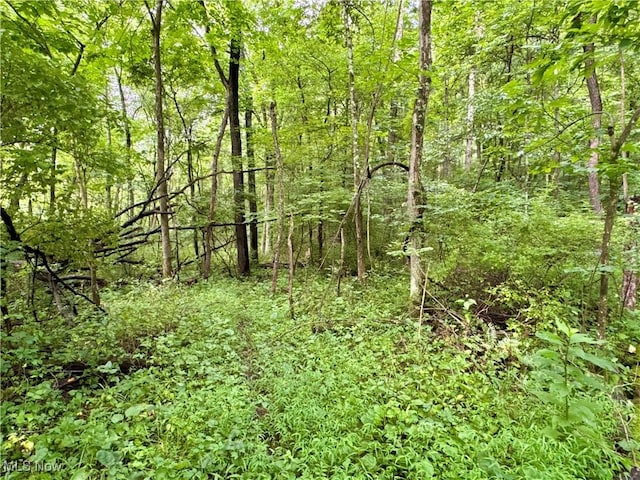 Township Rd Unit 437, Coshocton, OH 43821 - photo 18