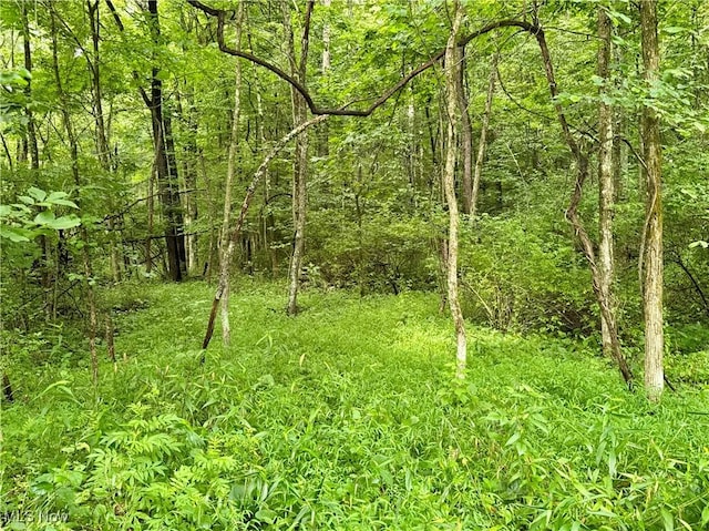 Township Rd Unit 437, Coshocton, OH 43821 - photo 15