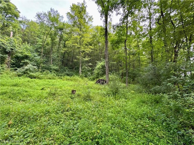 Township Rd Unit 437, Coshocton, OH 43821 - photo 17