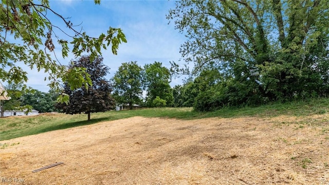 754 3rd St, Philo, OH 43771 - photo 31