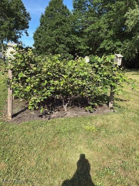 3868 Cook Rd, Rootstown, OH 44272 - photo 36