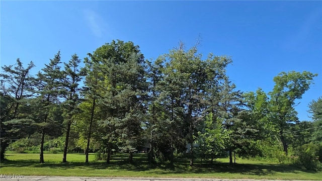 27460 Sprague Rd, Olmsted Twp, OH 44138 - photo 16