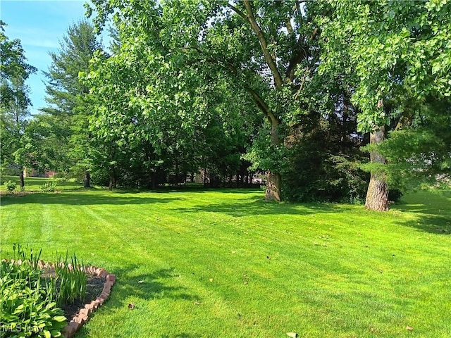 36145 Bainbridge Rd, Solon, OH 44139 - photo 48