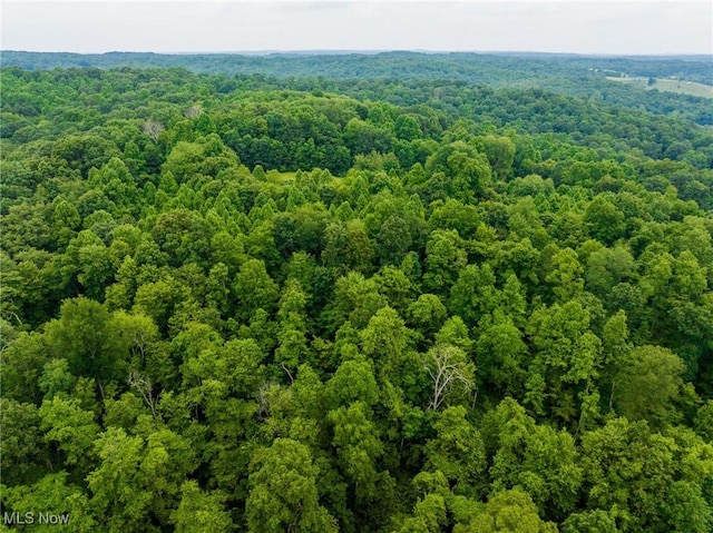 43768 County Road 58, Coshocton, OH 43812 - photo 9