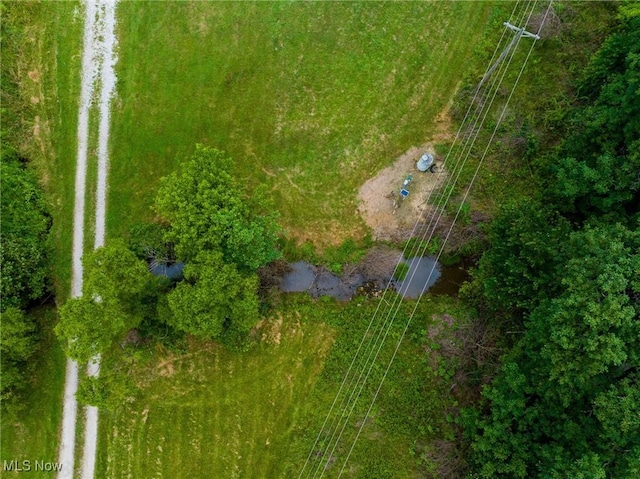 43768 County Road 58, Coshocton, OH 43812 - photo 12