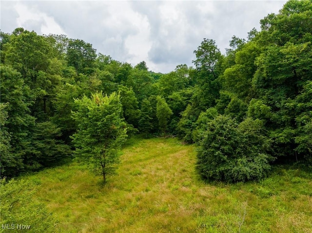 43768 County Road 58, Coshocton, OH 43812 - photo 6