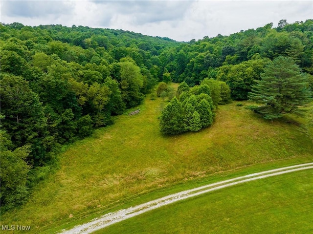 43768 County Road 58, Coshocton, OH 43812 - photo 14