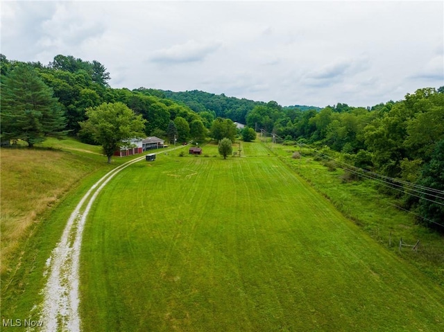 43768 County Road 58, Coshocton, OH 43812 - photo 16