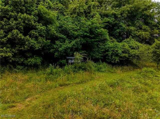 43768 County Road 58, Coshocton, OH 43812 - photo 3