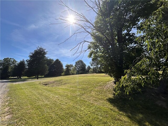 84550 Snyder Rd, Jewett, OH 43986 - photo 3