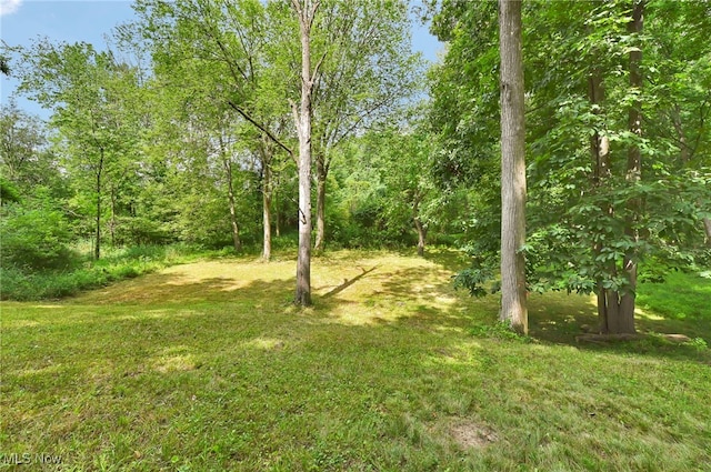 16182 Robindale Dr, Strongsville, OH 44136 - photo 40