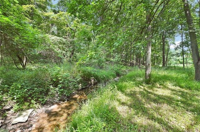 16182 Robindale Dr, Strongsville, OH 44136 - photo 41