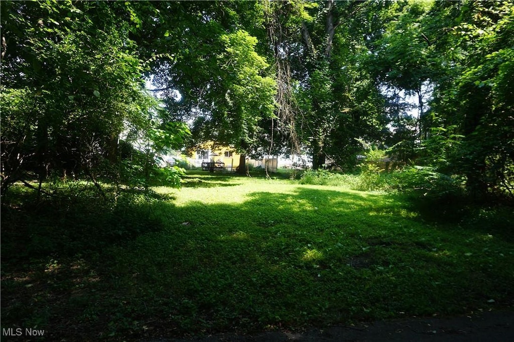 Pickford Ave, Akron, OH 44320 - photo 1