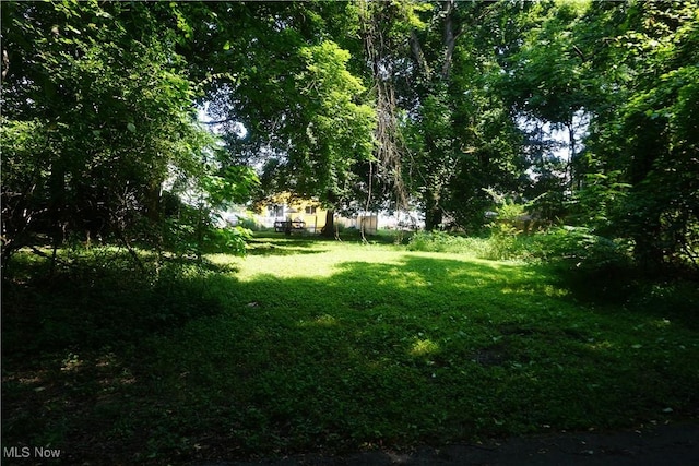 Pickford Ave, Akron, OH 44320 - photo 1