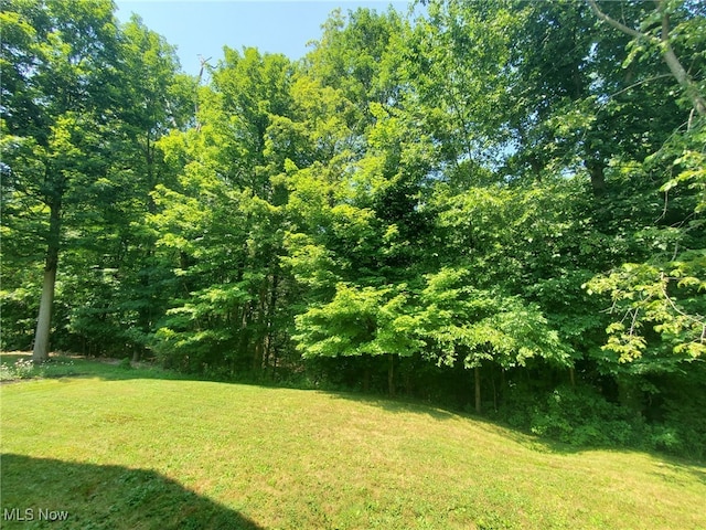 310 Waverly Ave, Wadsworth, OH 44281 - photo 23