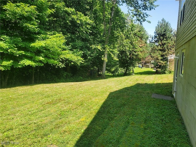 310 Waverly Ave, Wadsworth, OH 44281 - photo 25