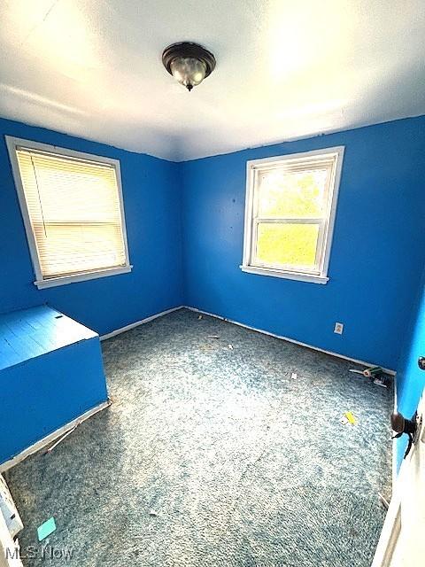 3761 E 144th St, Cleveland, OH 44145 - photo 21