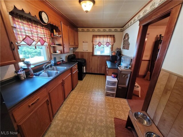 255 W River Rd N, Elyria, OH 44035 - photo 7