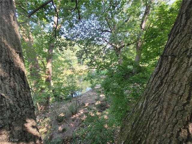 255 W River Rd N, Elyria, OH 44035 - photo 27