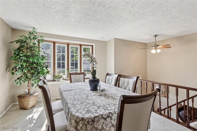 321 Manhattan Pkwy, Painesville, OH 44077 - photo 4