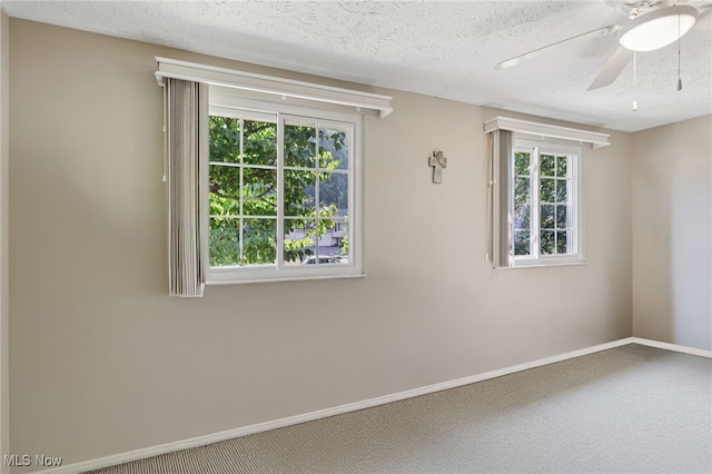 321 Manhattan Pkwy, Painesville, OH 44077 - photo 20