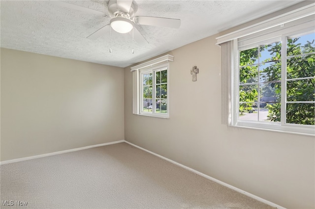 321 Manhattan Pkwy, Painesville, OH 44077 - photo 19