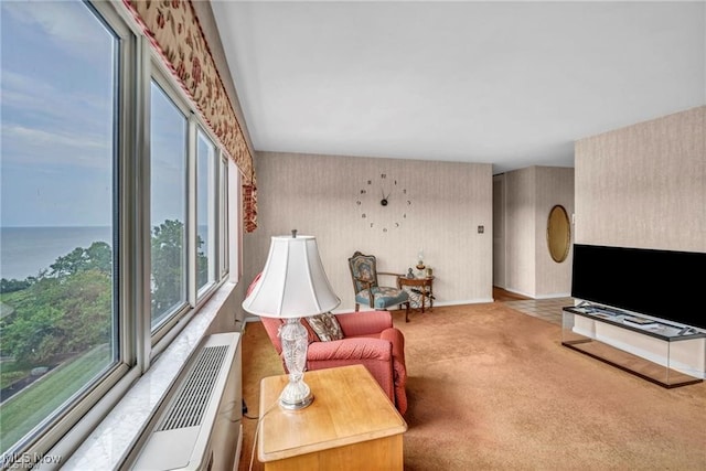 12520 Edgewater Dr Unit 801, Lakewood, OH 44107 - photo 10