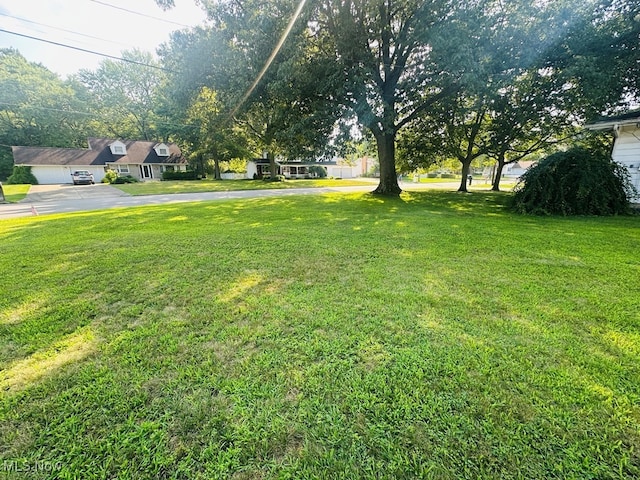 1116 S Columbus Cir, Ashland, OH 44805 - photo 16