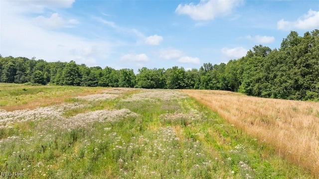 17050 Nash Rd, Middlefield, OH 44062 - photo 34
