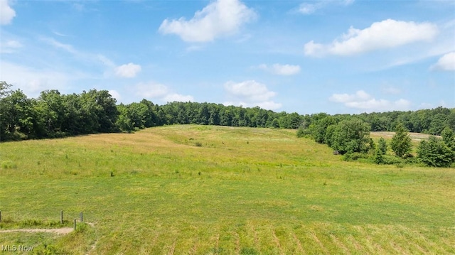 17050 Nash Rd, Middlefield, OH 44062 - photo 9