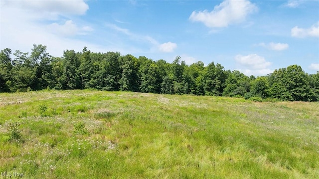 17050 Nash Rd, Middlefield, OH 44062 - photo 45