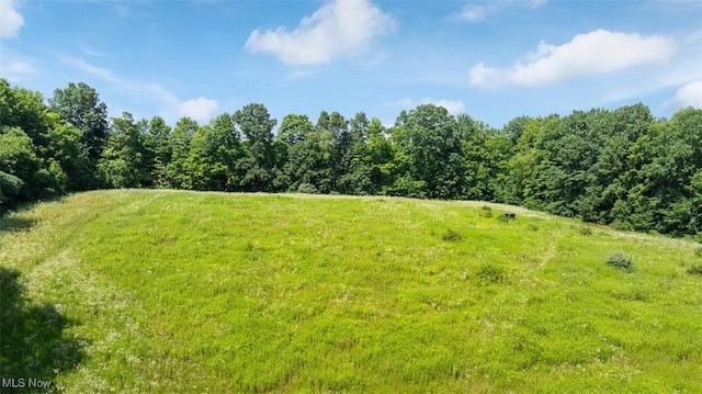 17050 Nash Rd, Middlefield, OH 44062 - photo 35