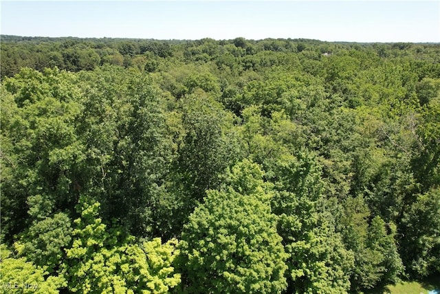 River Styx Rd, Medina, OH 44256 - photo 3