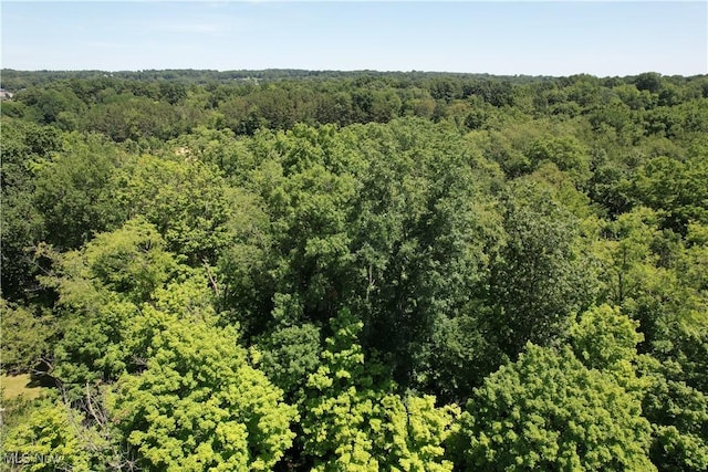 River Styx Rd, Medina, OH 44256 - photo 4